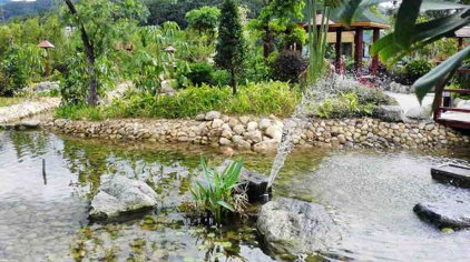 厦门银丰温泉度假村门票