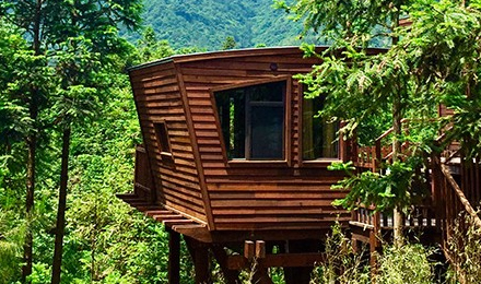 免预约当天可定入园有保障黄山休宁县齐云山镇自由家营地自由家黄山齐