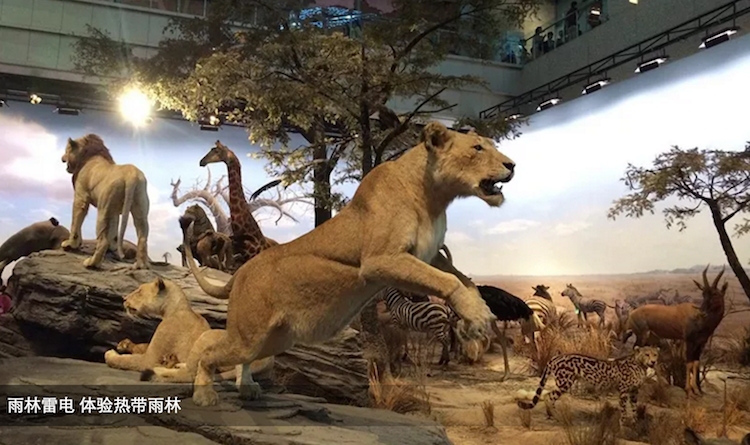 必玩推荐体验科技魅力上海科技馆景点门票