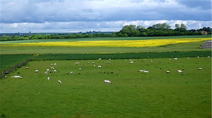 贵阳苏格兰牧场门票