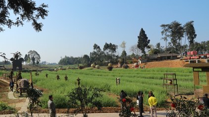 中国酒村休闲农业项目——大梁家庭农场位于成都邛崃市临邛镇文笔山村