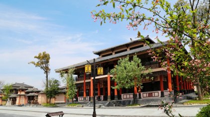 安庆孔雀东南飞景区门票