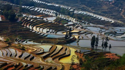 红河哈尼梯田规模宏大,气势磅礴,绵延整个红河南岸的红河,元阳,绿春及