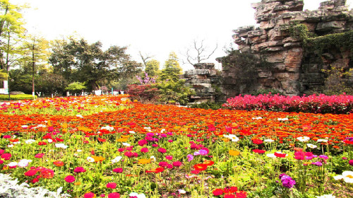 眉山水天花月水上乐园门票
