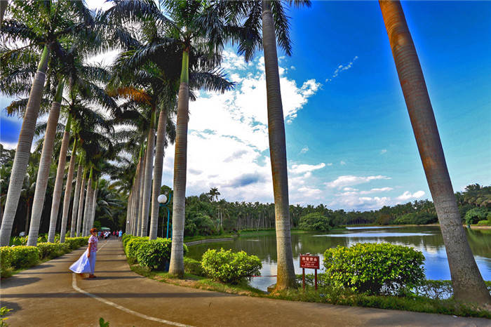 海南万宁兴隆热带植物园