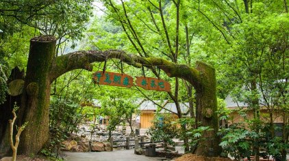 千岛湖千岛湖森林氧吧门票
