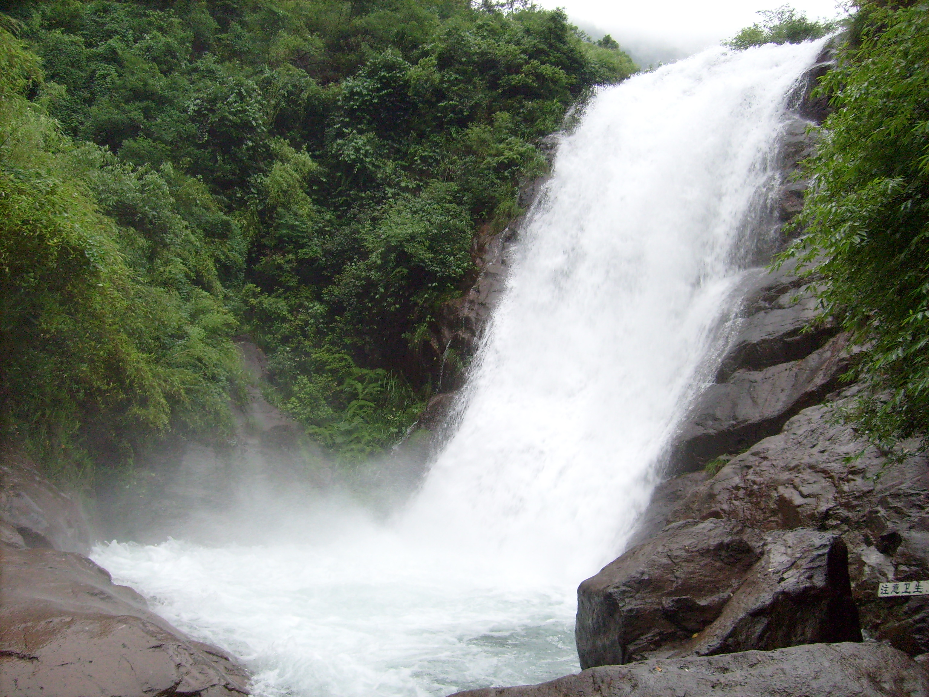 浙江杭州桐庐大奇山国家森林公园(当天15:00前可订),马蜂窝自由行 - 