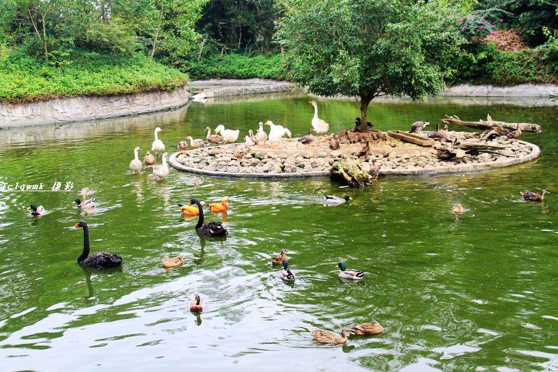 (定安)海南热带飞禽世界