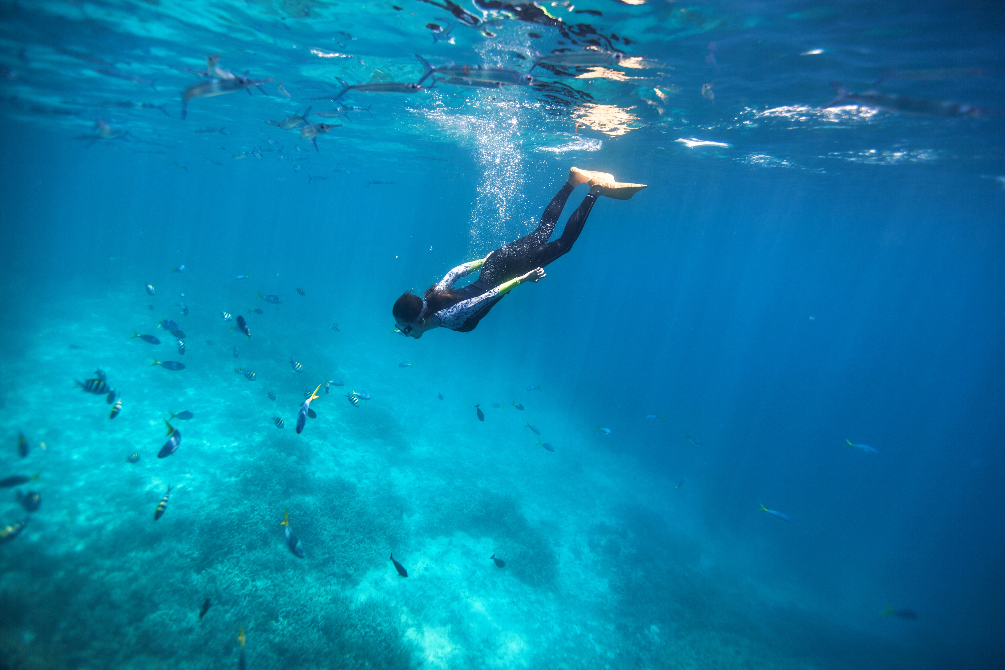 1日水下跟拍底片全送