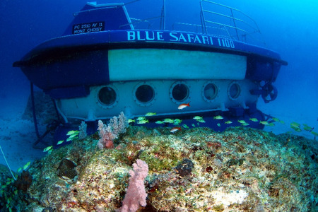 潜水艇将下潜到水下30米的深度,带您进入不一样的海底世界.