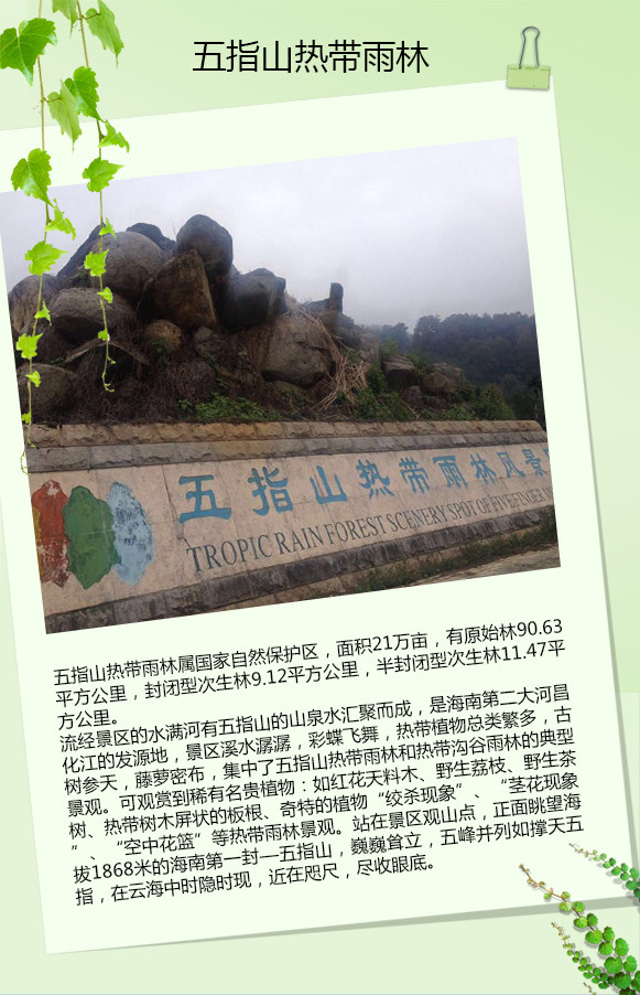 五指山热带雨林景区门票诠释着雨林的奥秘和自然的法则