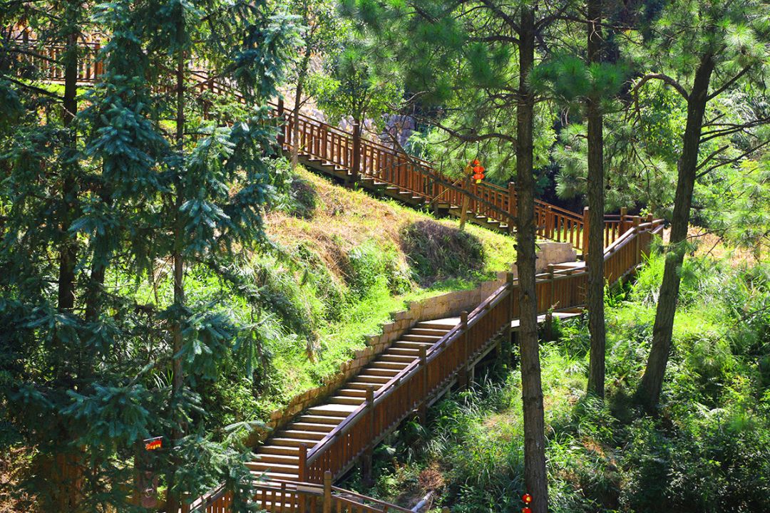 泉州洛江石龙谷森林公园电子票石龙谷森林公园欢迎您下单