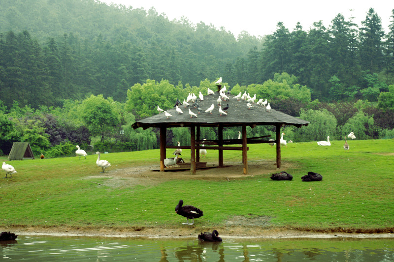湖州中南百草原 成人电子票,马蜂窝自由行 - 马蜂窝自由行