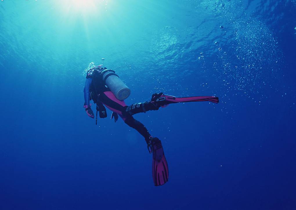 潜入海底世界·上海出发美娜多4-5天自由行(世界潜水圣地 赠深潜教学