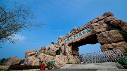 武汉金龙水寨门票