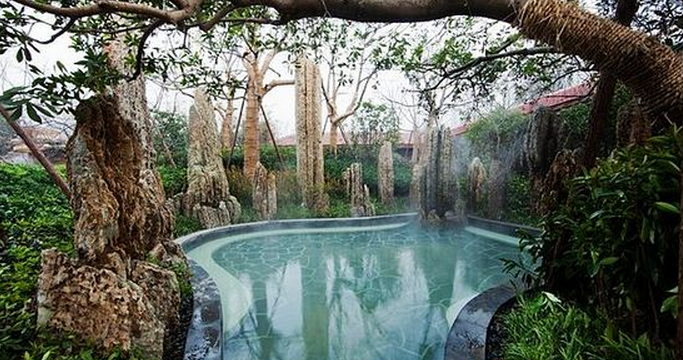 无锡金诚太悦温泉成人电子票